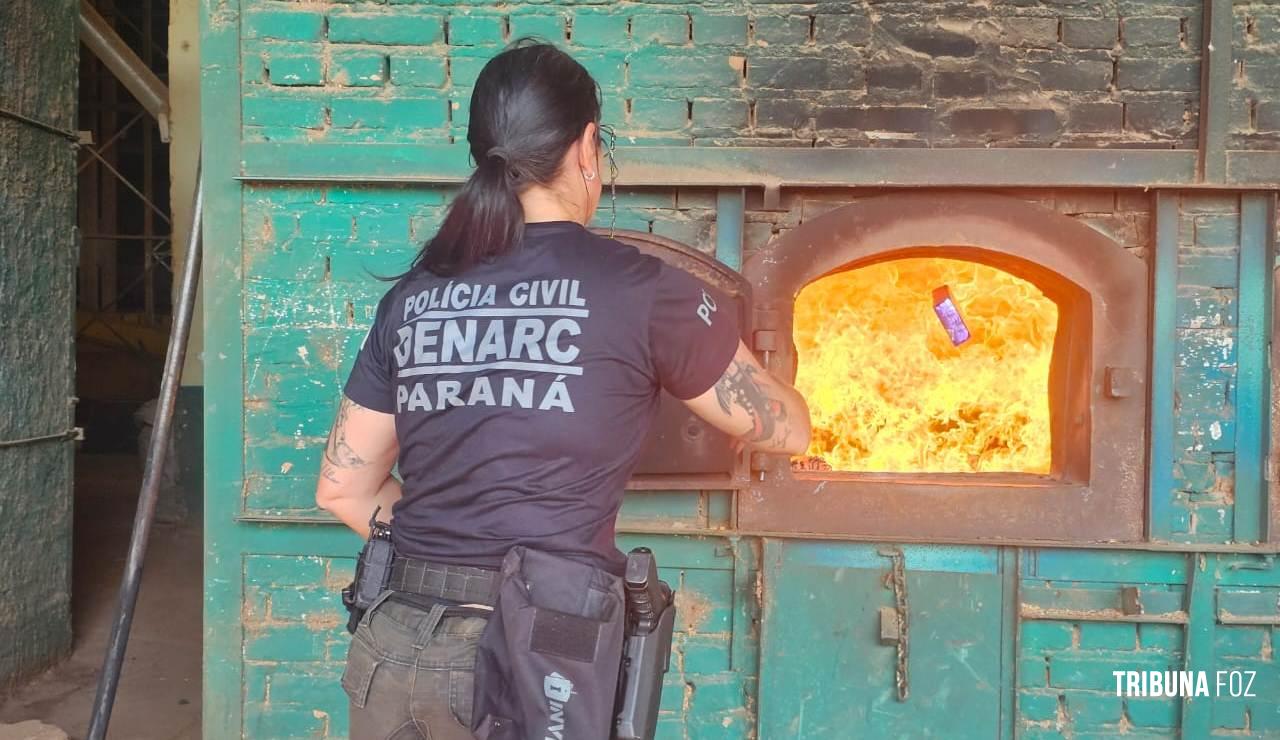DENARC destrói mais de 2,6 toneladas de drogas apreendidas nos últimos meses DENARC destrói mais de 2,6 toneladas de drogas apreendidas nos últimos meses