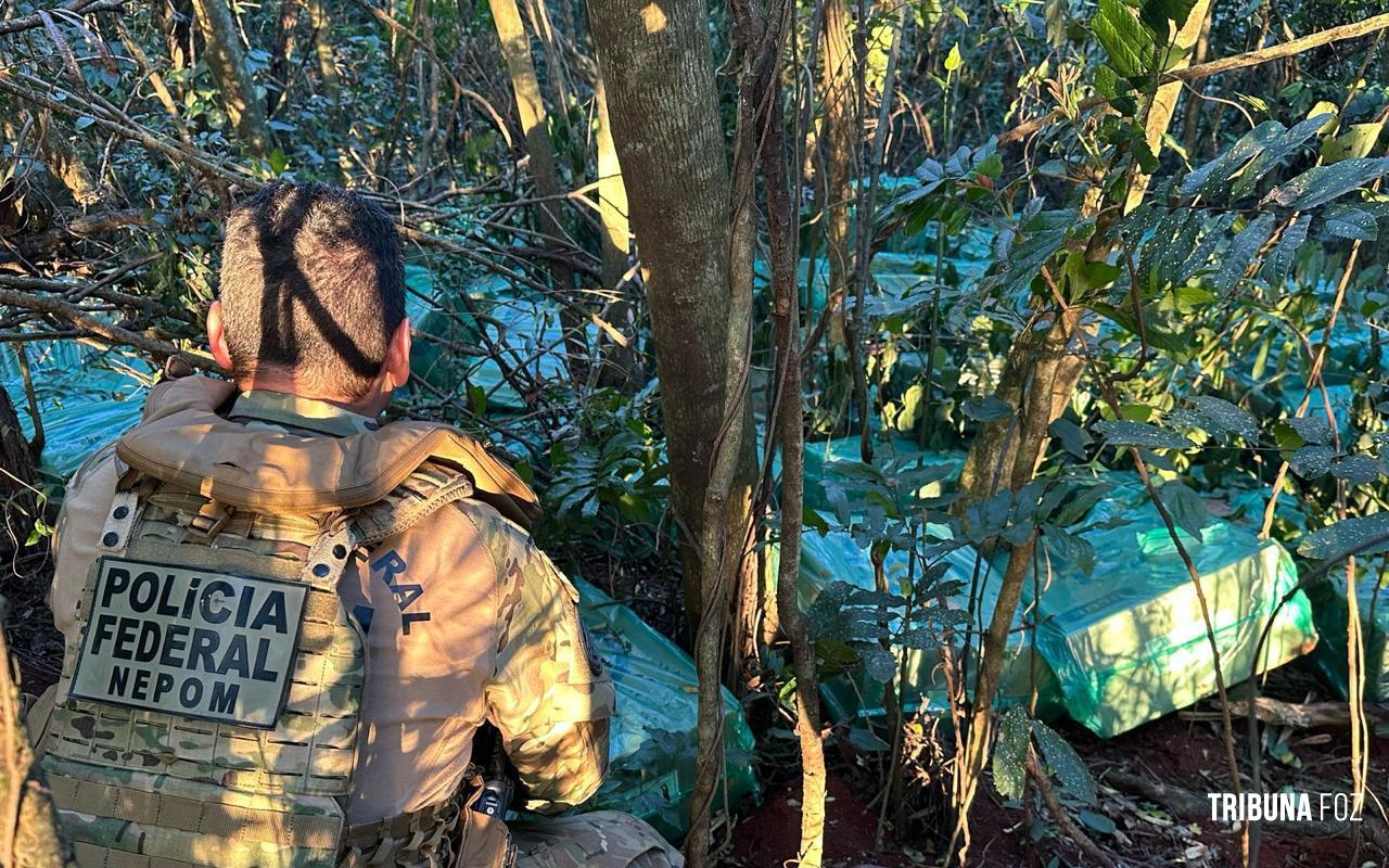 Forças policiais apreendem centenas de caixas de cigarros contrabandeados em Itaipulândia