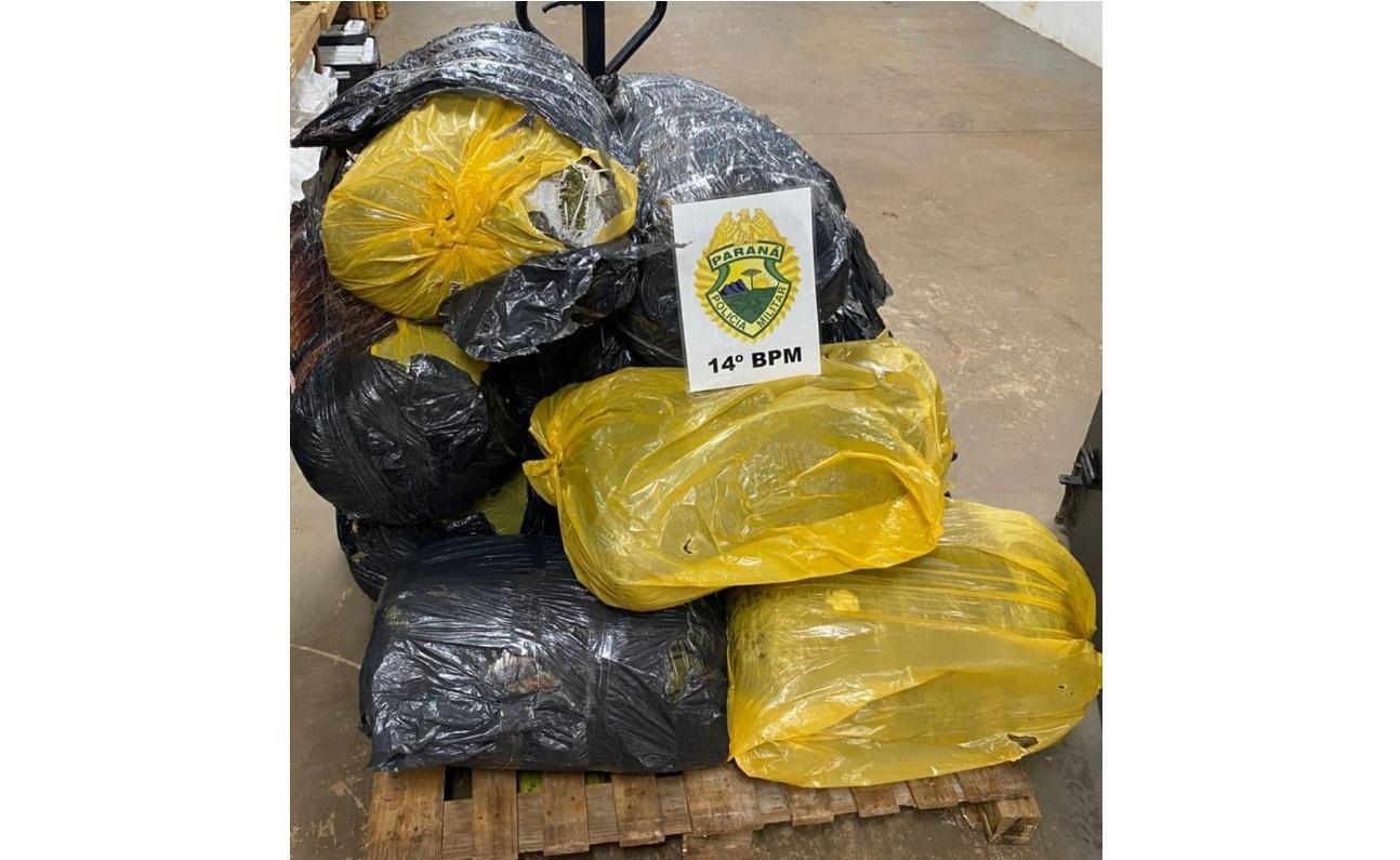 PM apreende 177 Kg de maconha e prende três pessoas em Foz do Iguaçu