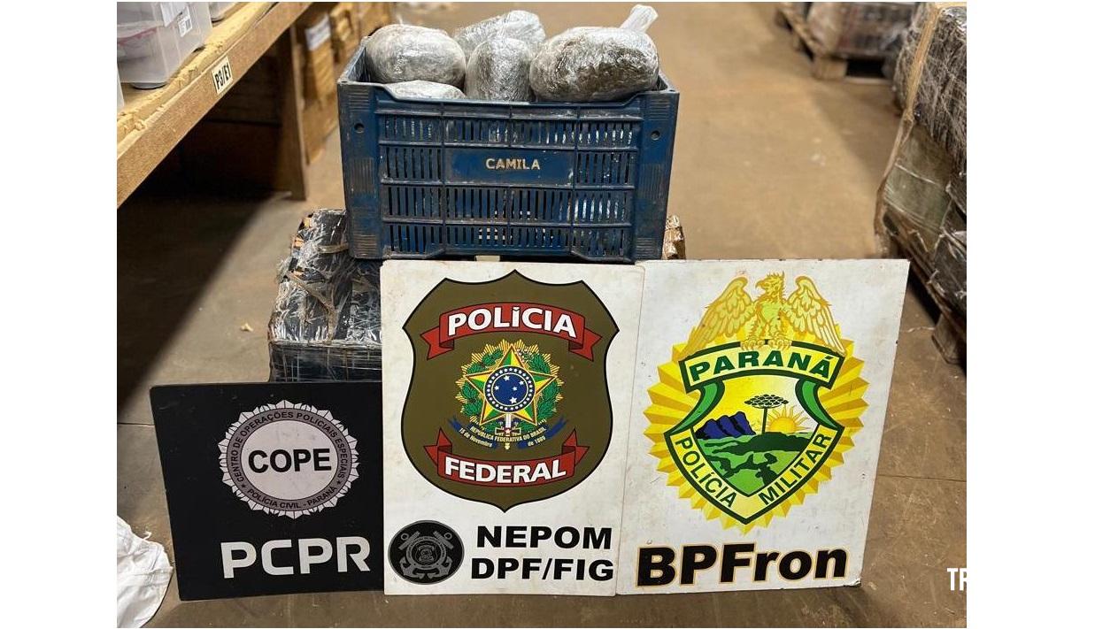 Policia Federal, Policia Civil e Policia Militar apreendem drogas em porto clandestino no rio Paraná Policia Federal, Policia Civil e Policia Militar apreendem drogas em porto clandestino no rio Paraná