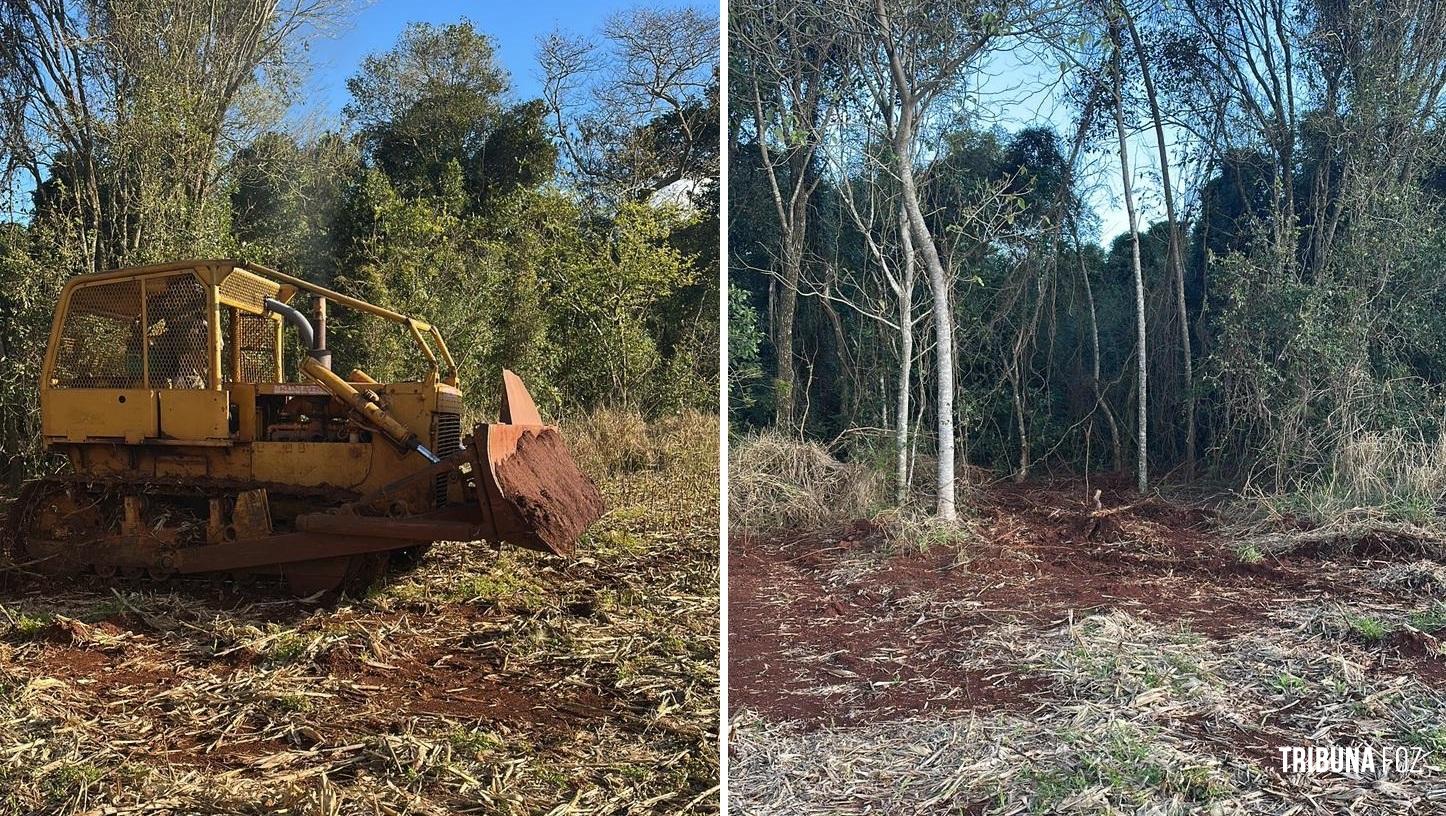 Policia Federal, Policia Civil e Policia Militar impedem devastação de mata ciliar no Lago de Itaipu Policia Federal, Policia Civil e Policia Militar impedem devastação de mata ciliar no Lago de Itaipu