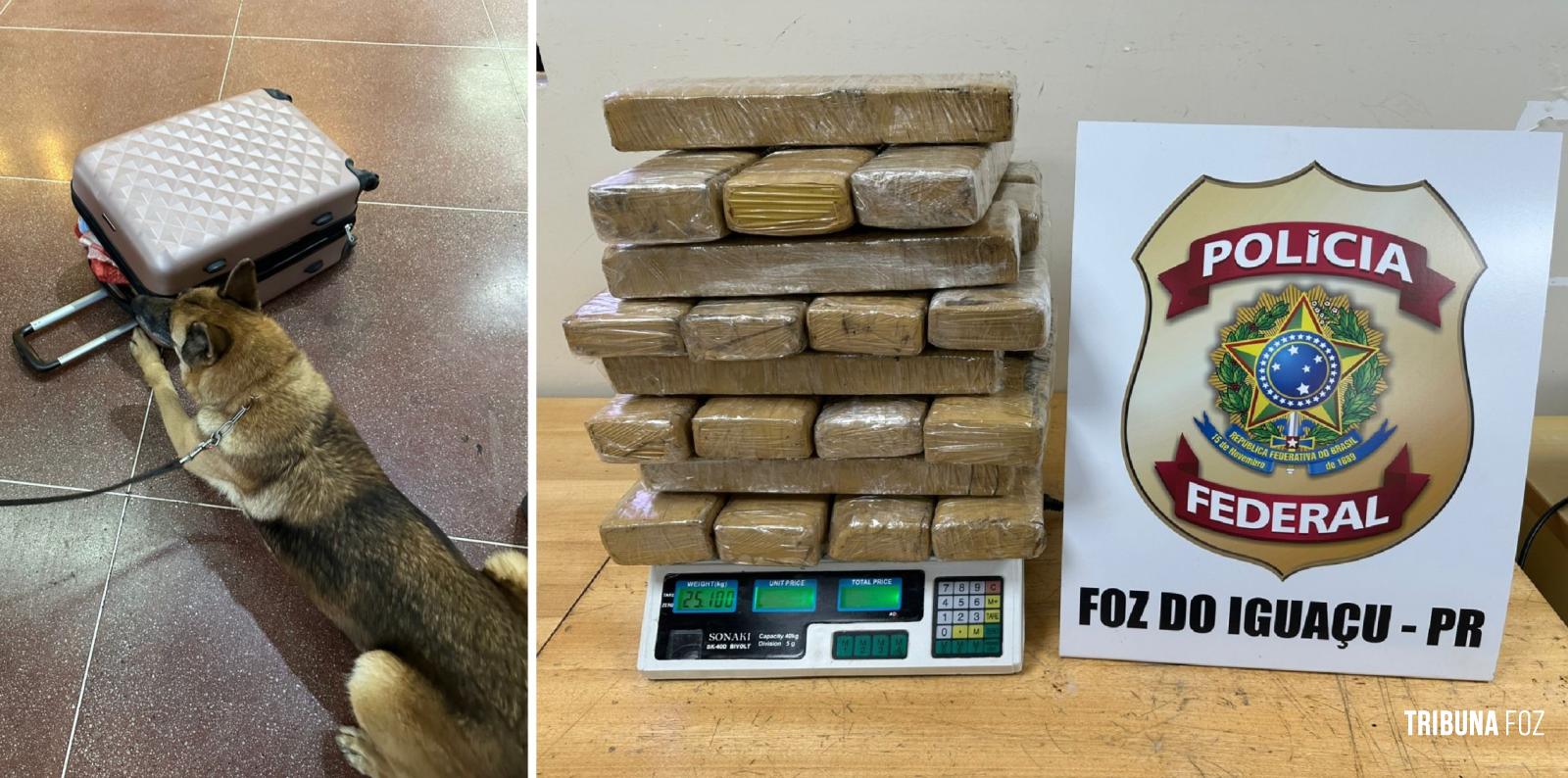 Policia Federal prende passageira com drogas na Rodoviária Foz do Iguaçu