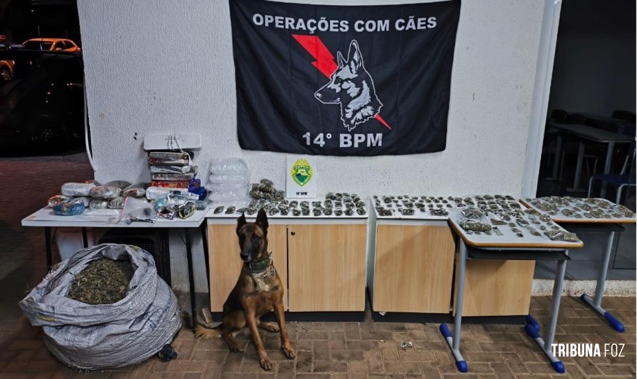 PM apreende mais de 45 Kg de drogas na Favela da Sadia em Foz do Iguaçu