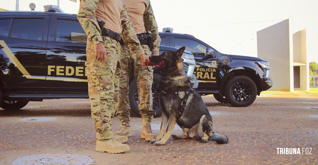 Policia Federal prende duas bolovianas com medicamentos proibidos na Rodoviária de Foz do Iguaçu