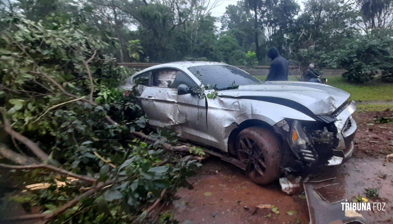 Ford Mustang sai da pista e colide contra arvores em Hernandárias Ford Mustang sai da pista e colide contra arvores em Hernandárias