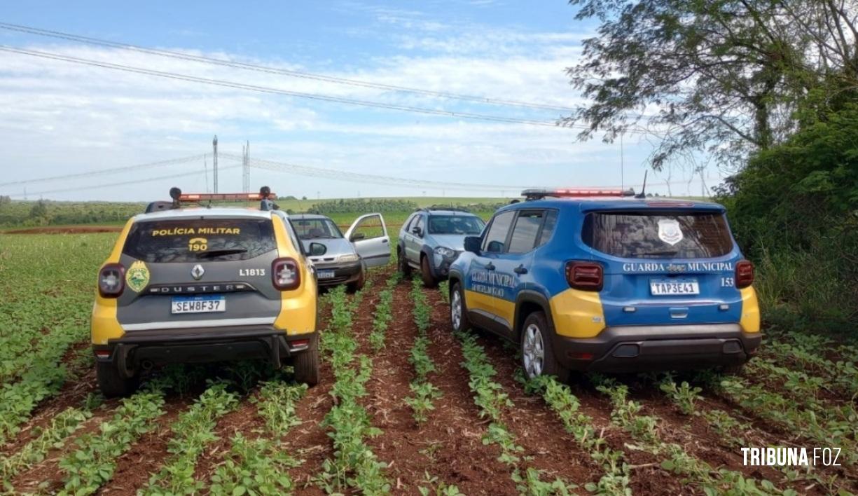 Veículos roubados são recuperados em fazenda na área rural de São Miguel do Iguaçu Veículos roubados são recuperados em fazenda na área rural de São Miguel do Iguaçu