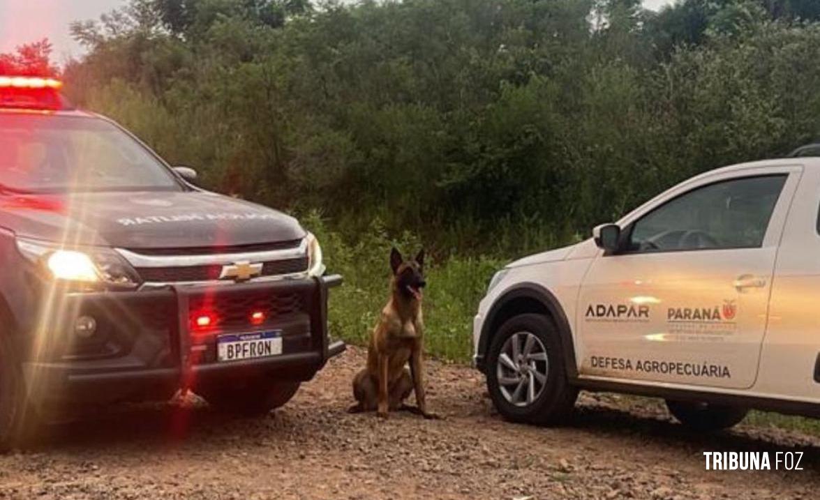 BPFRON recupera veiculo furtado em Santo Antônio do Sudoeste
