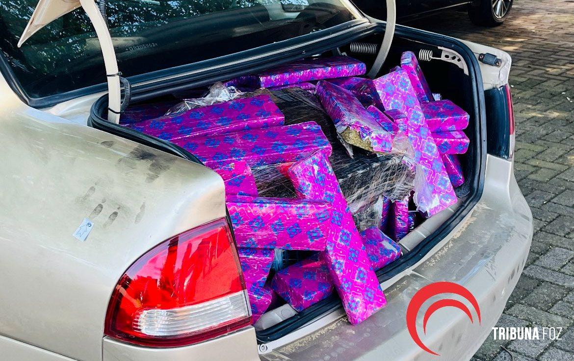 DENARC prende quatro pessoas e apreende 233 Kg de maconha na BR-277 após investigação 