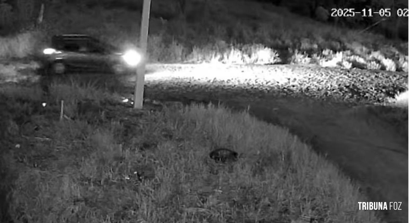 Tentativa de roubo de maquinas de criptomoedas termina com dois mortos e um ferido durante em Ciudad Del Este