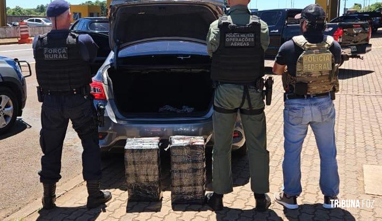 FICCO/PR aprende 60 Kg de maconha em veiculo na BR-277