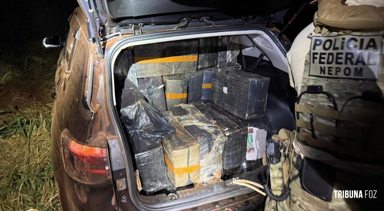 PF e Polícia Civil apreendem 965,9 Kg de maconha em Itaipulândia