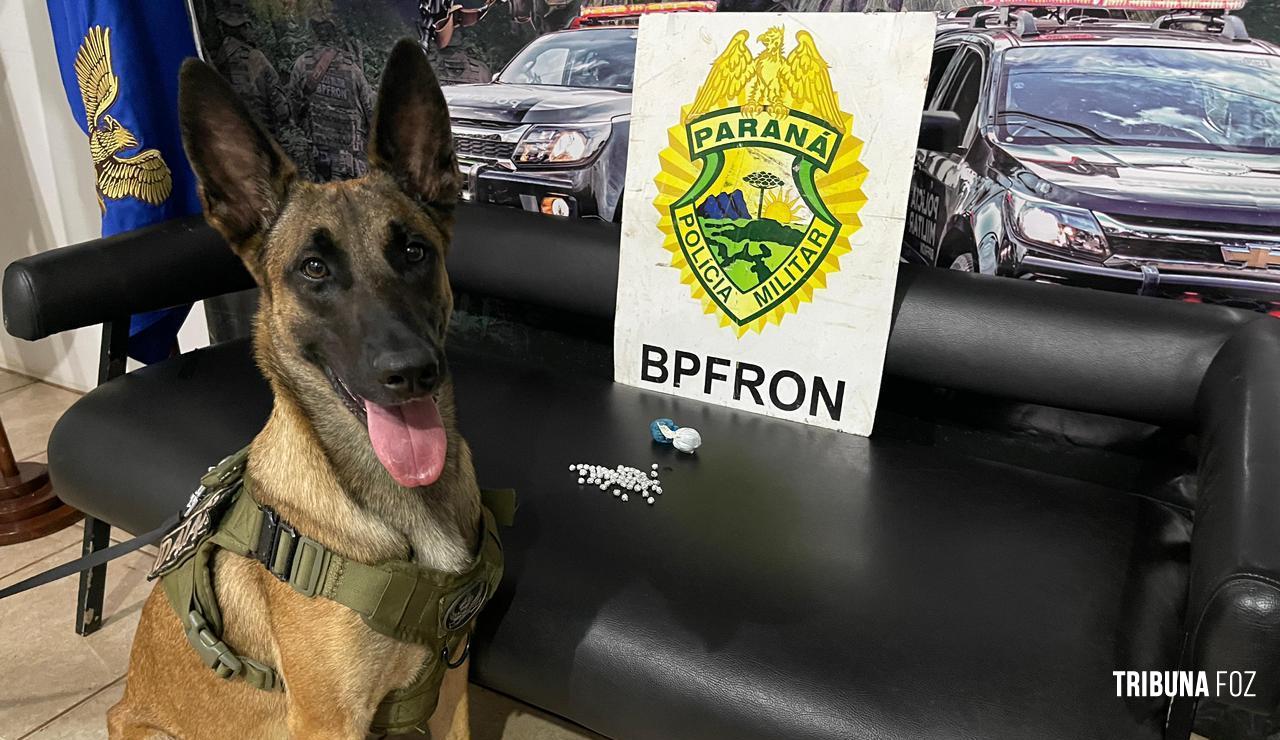 BPFRON e NEPOM apreendem crack e de maconha em Marechal Cândido Rondon