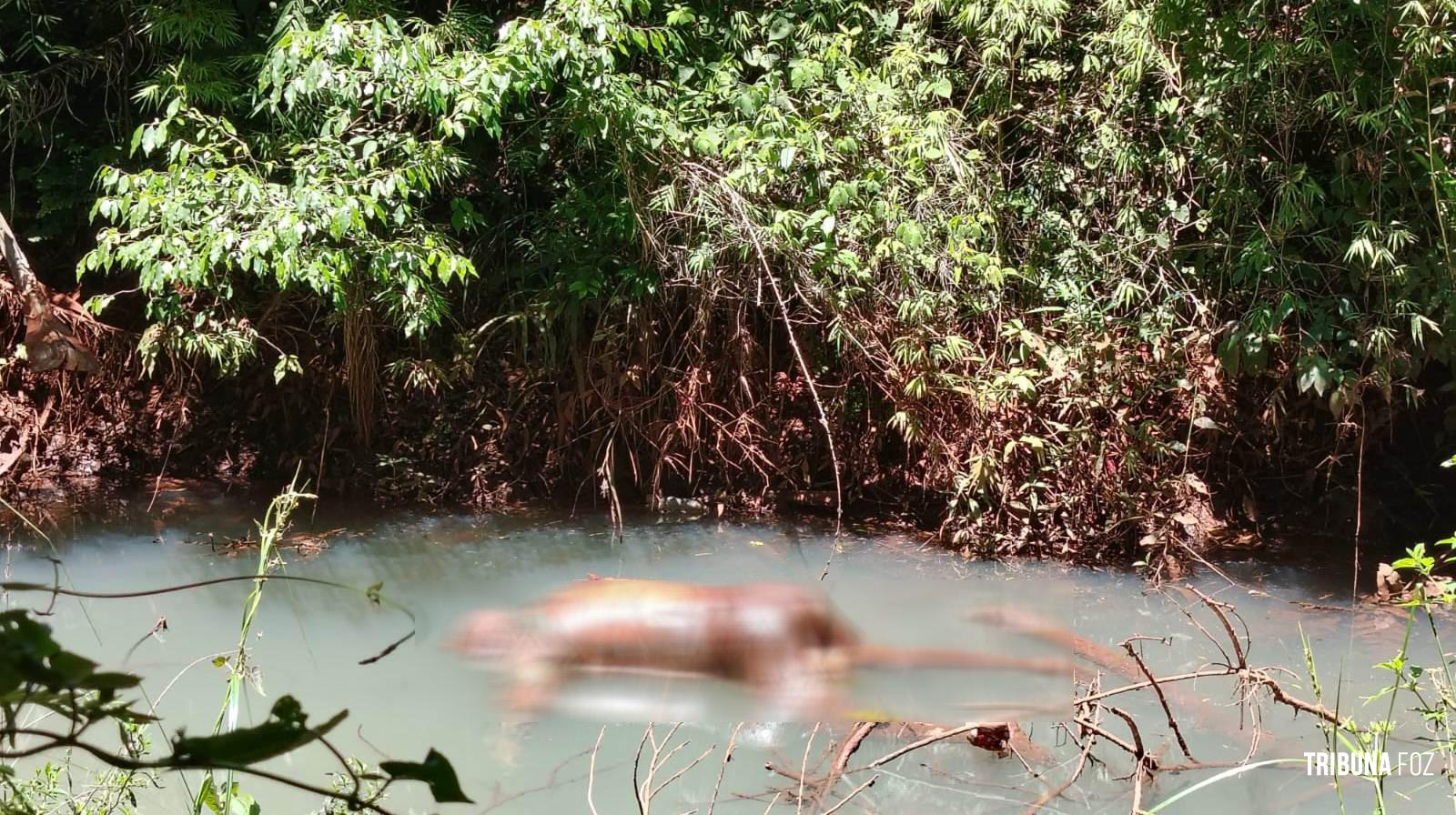 Corpo de homem encontrado em riacho em Minga Guazú, no Paraguai