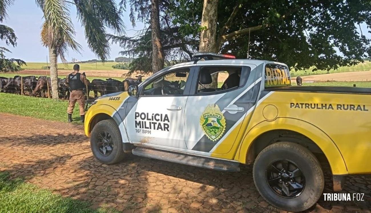 Patrulha Rural Comunitária: Crimes no campo caem mais 50% no Paraná entre 2022 e 2025