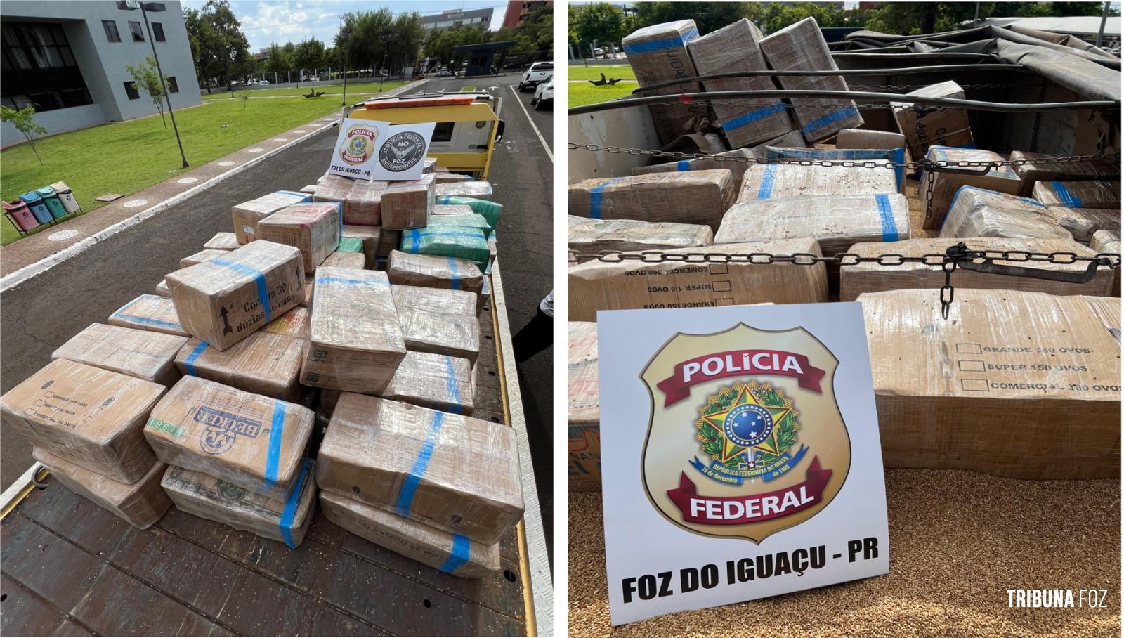 Policia Federal prende motorista transportando 3,3 toneladas de maconha na BR-277
