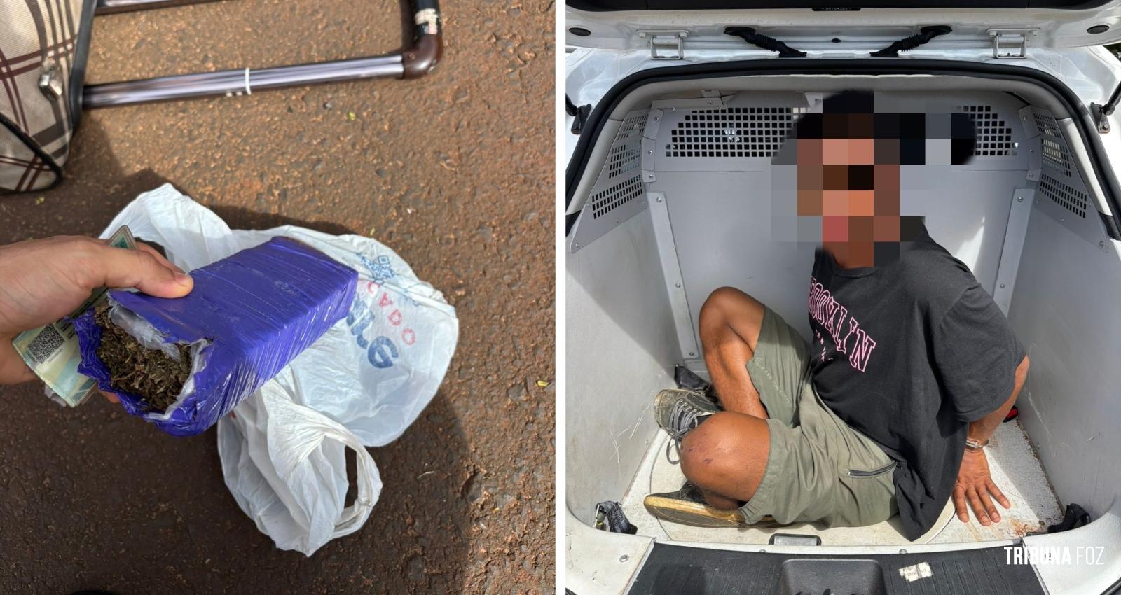 Guarda Municipal prende suspeito com tablete de maconha atrás do TTU