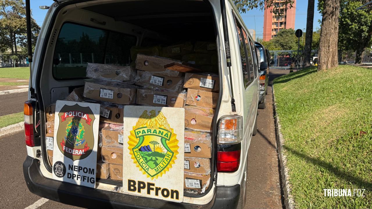 PF e PMPR apreendem vans, embarcações e 3 toneladas de frango durante tentativa de travessia irregular no Rio Paraná