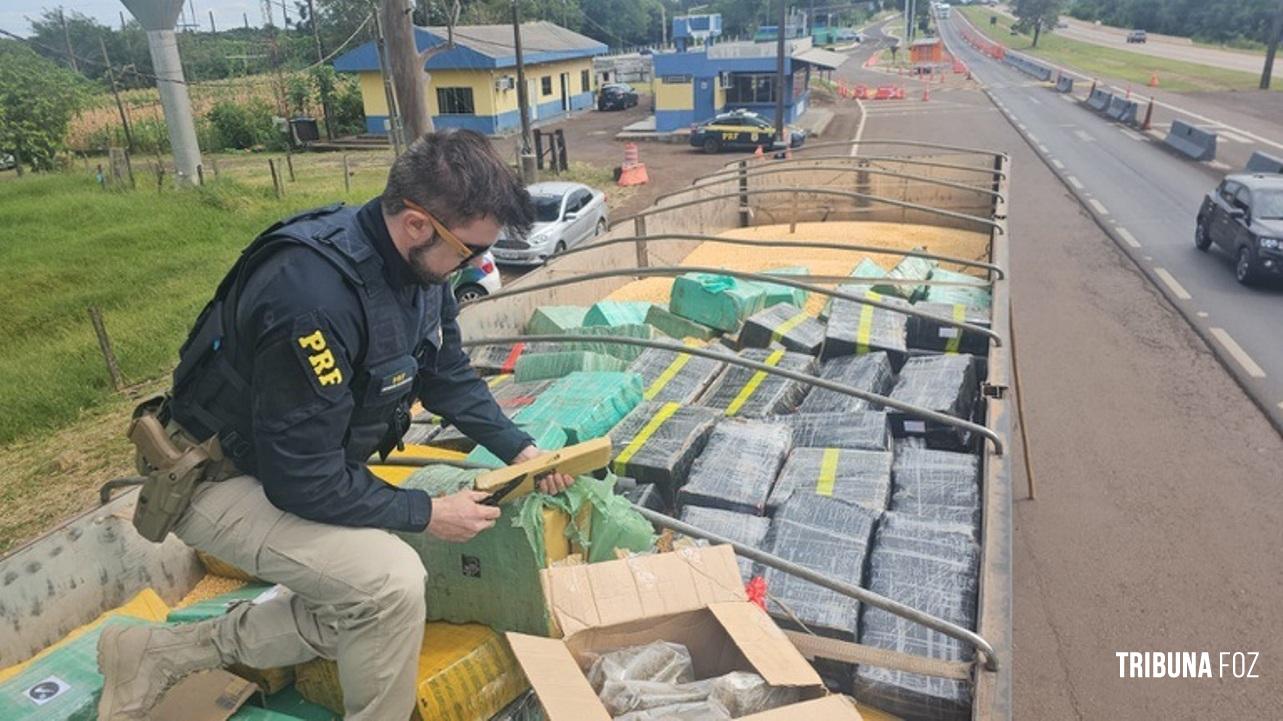 PRF apreende, no Paraná, a maior quantidade de maconha do ano em rodovias federais