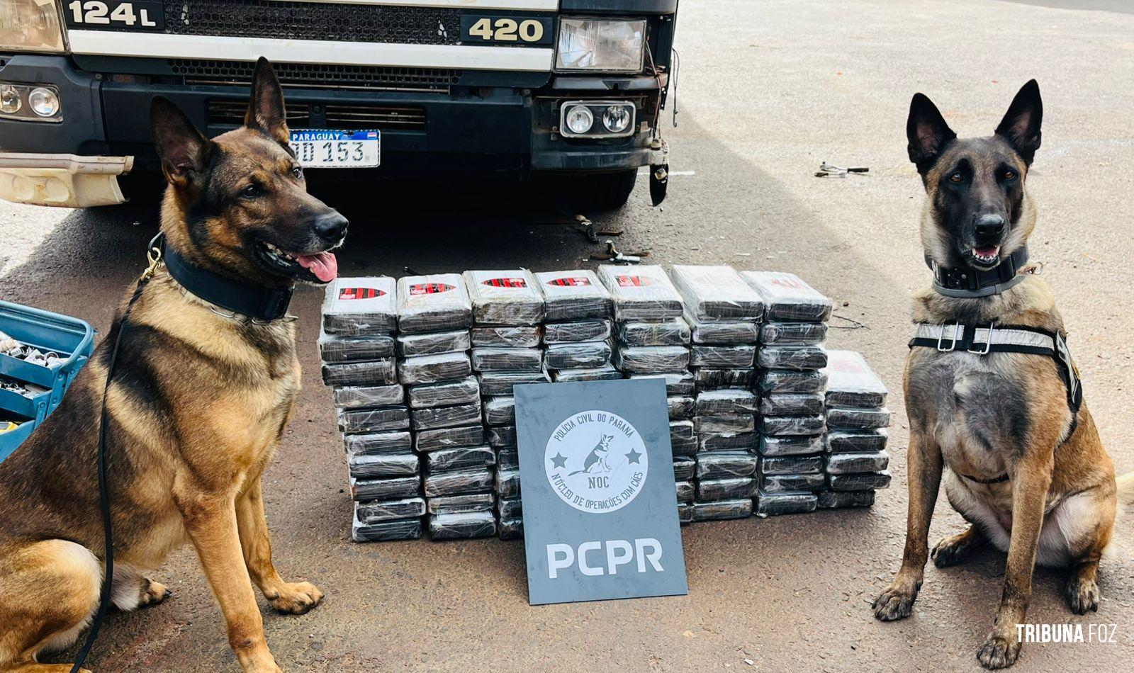 Carga milionária de 76 tabletes de cocaína é apreendida pela Policia Civil na BR-277 