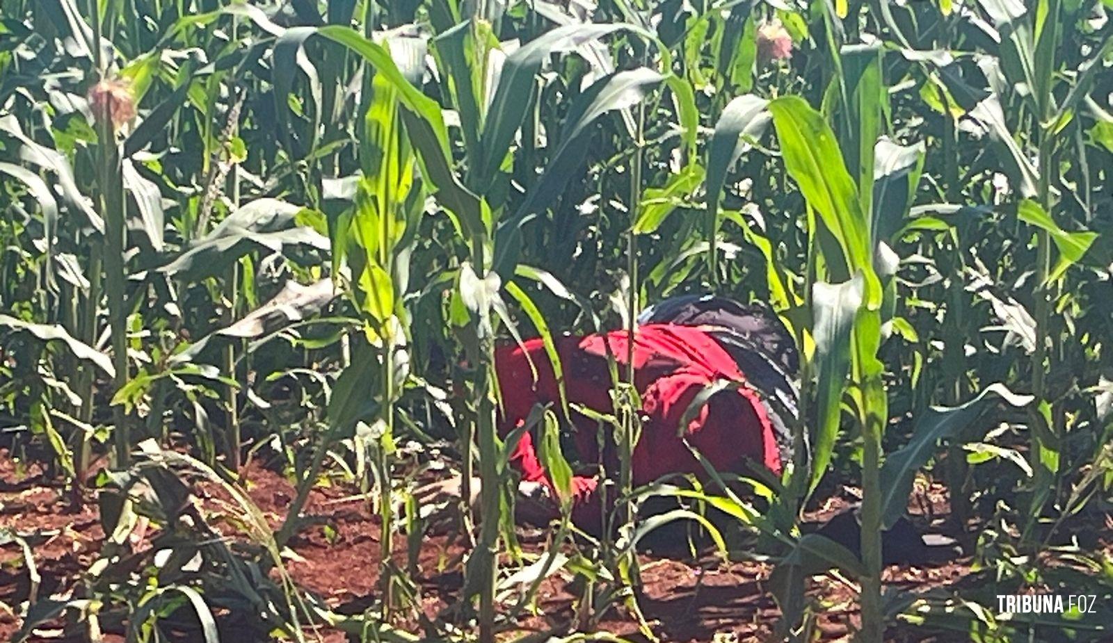 Corpo é encontrado em milharal na área rural de São Miguel do Iguaçu