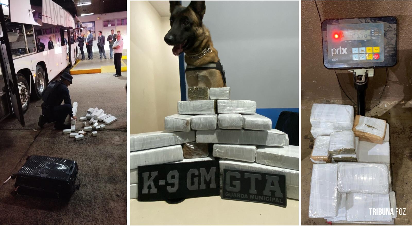 Guarda Municipal prende mulher que transportava 25,9 Kg de maconha na Rodovia de Foz do Iguaçu