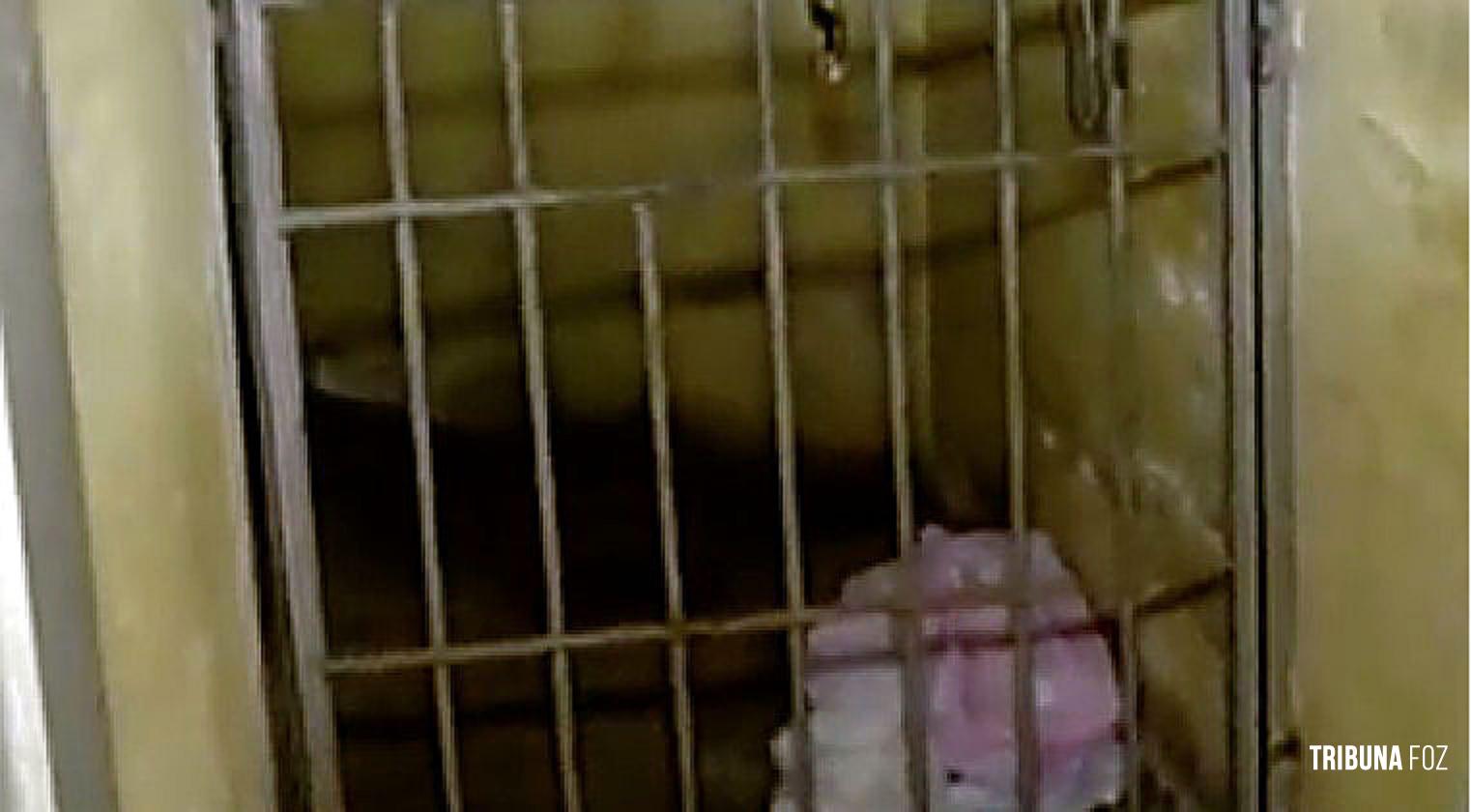 Homem preso por violência doméstica tira a própria vida dentro da cela no Paraguai