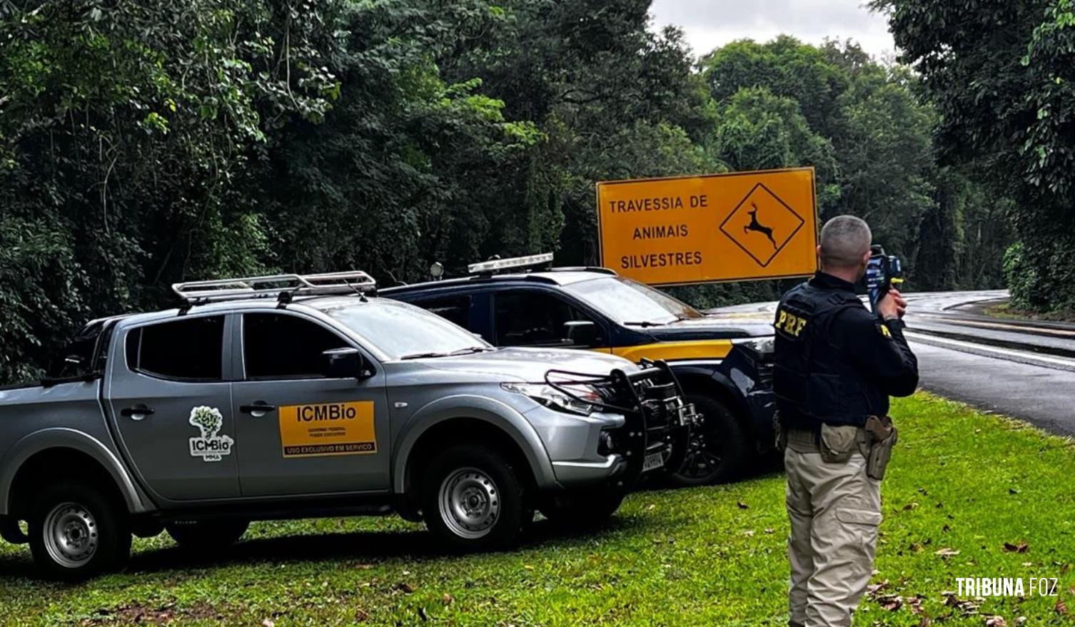 PRF e ICMBio realizam fiscalização conjunta no Parque Nacional do Iguaçu