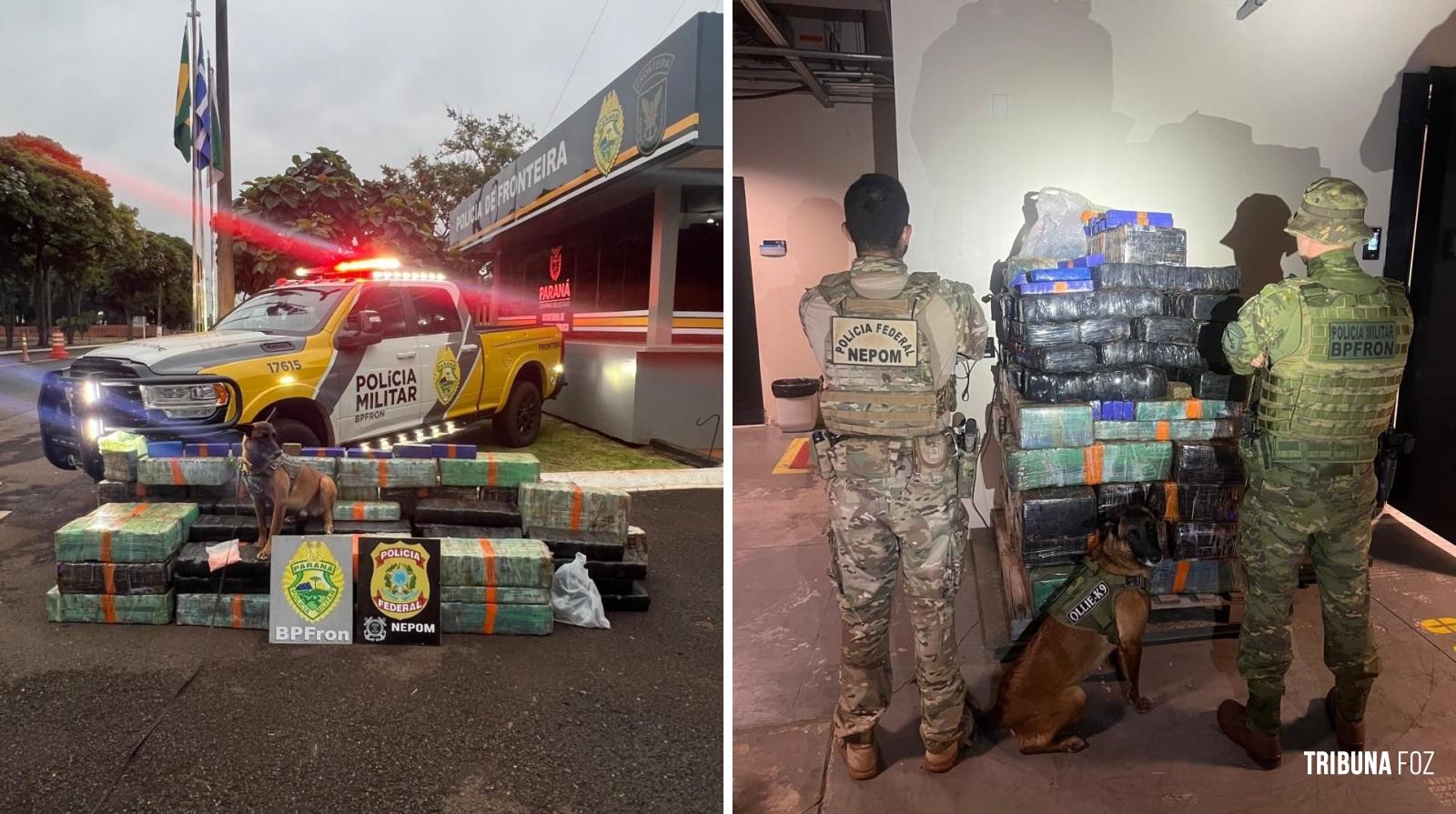 BPFRON e PF apreendem 931 Kg de maconha e 436 comprimidos de Ecstasy em Santa Helena