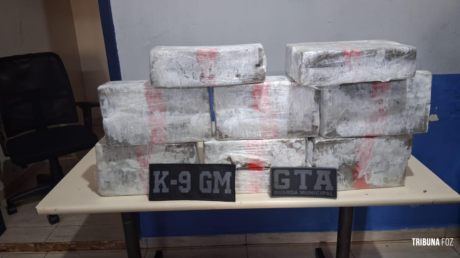 GTA e K9 da Guarda Municipal de Foz do Iguaçu prendem homem com 27,3 Kg de maconha