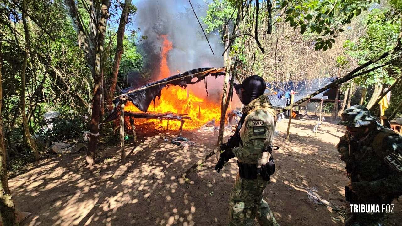 Operação contra o narcotráfico no Paraguai que durou 10 dias termina com 204 plantações de maconha destruidas