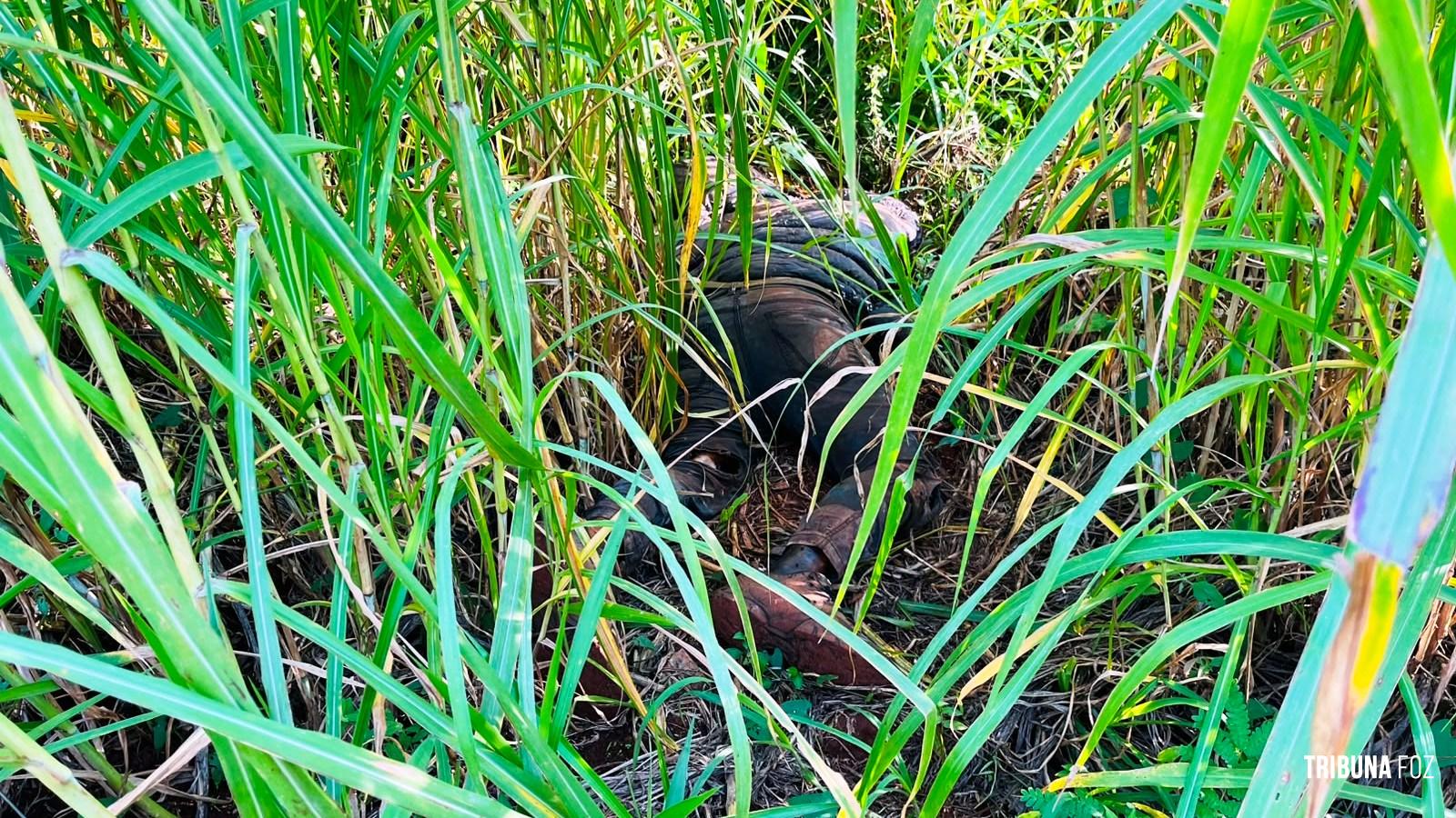Corpo de homem já em putrefação é encontrado em área de mata no Parque Monjolo