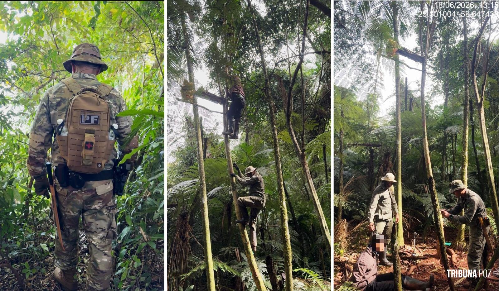 PF e ICMBIO prendem caçador armado no interior do Parque Nacional do Iguaçu