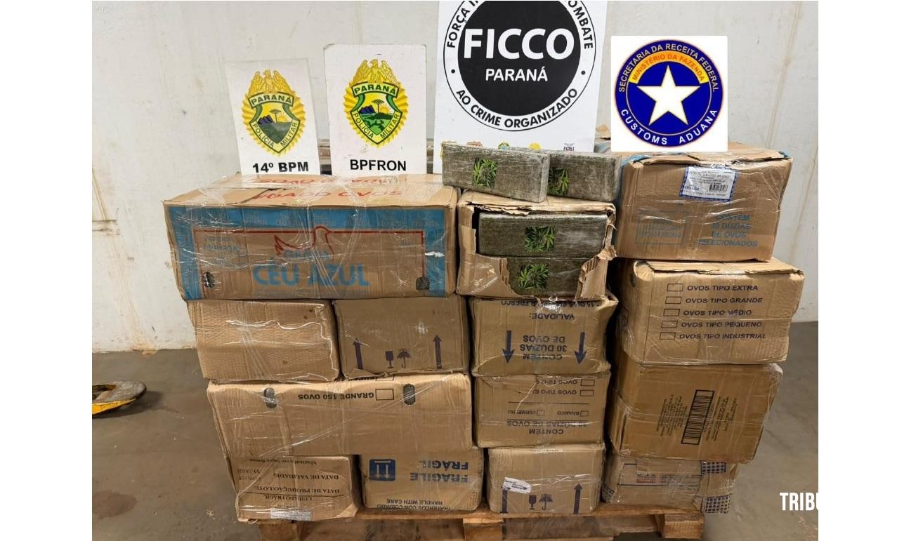 Ação integrada apreende 721,2 quilos de maconha na BR-277 em Foz do Iguaçu