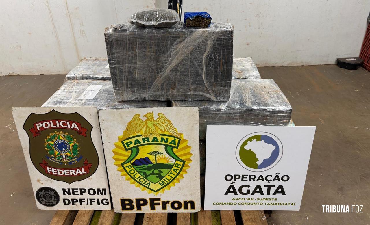 BPFRON, PF e Aeronáutica apreendem 373 quilos de maconha no Bairro Porto Meira em Foz do Iguaçu