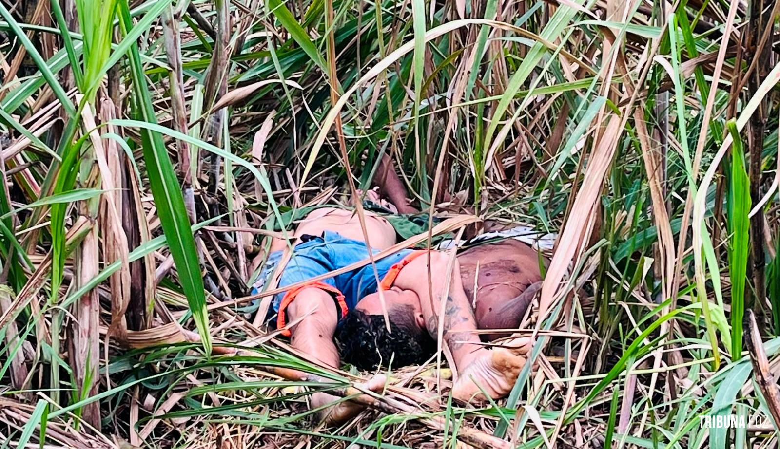 Dois homens são encontrados mortos em canavial no Porto Meira em Foz do Iguaçu