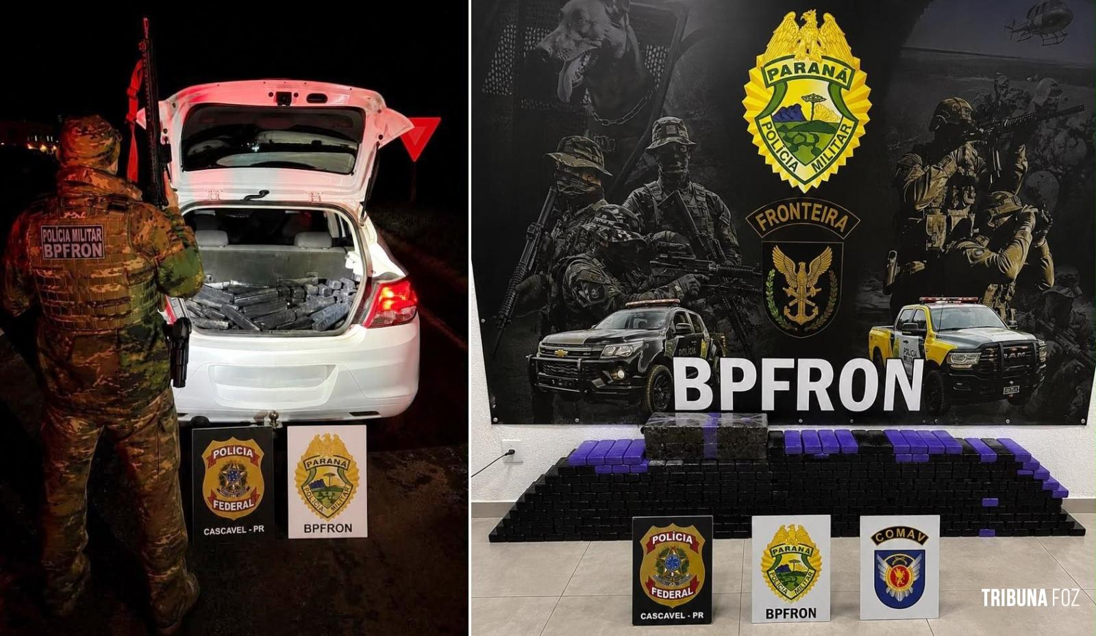 Integração entre forças de segurança resulta na apreensão de 256 Kg de maconha em Santa Tereza do Oeste