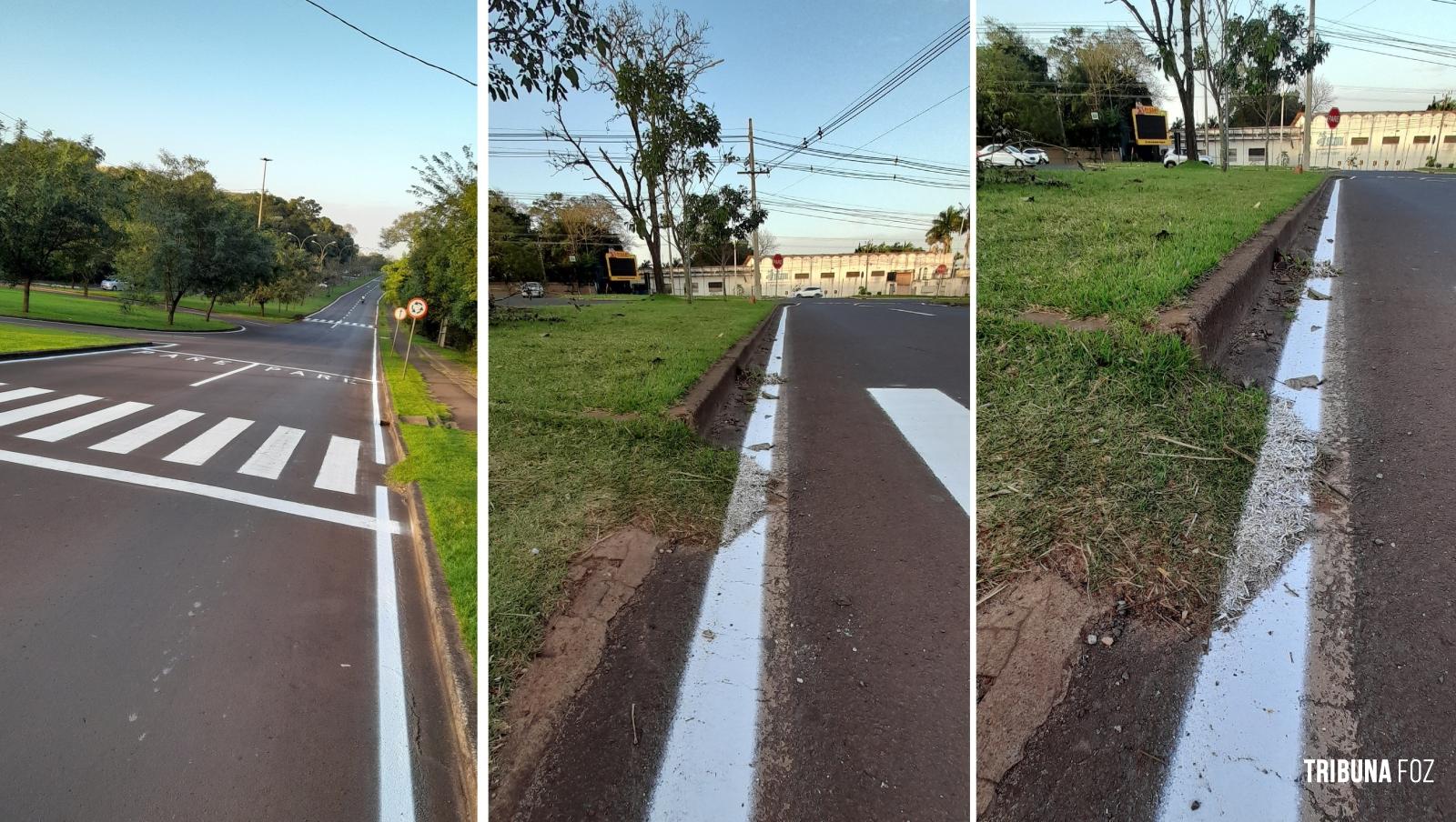 Pintar a grama sobre o asfalto pode? Mas afinal. Quem fiscaliza o Fiscal?