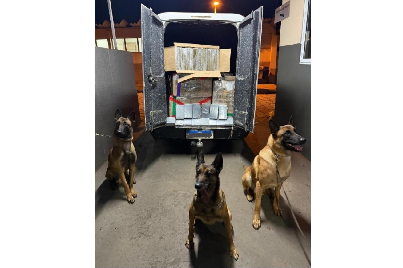 PM apreende 674 Kg de maconha e 15,8 Kg de cocaína durante operação F.A.R.O. em Foz do Iguaçu 
