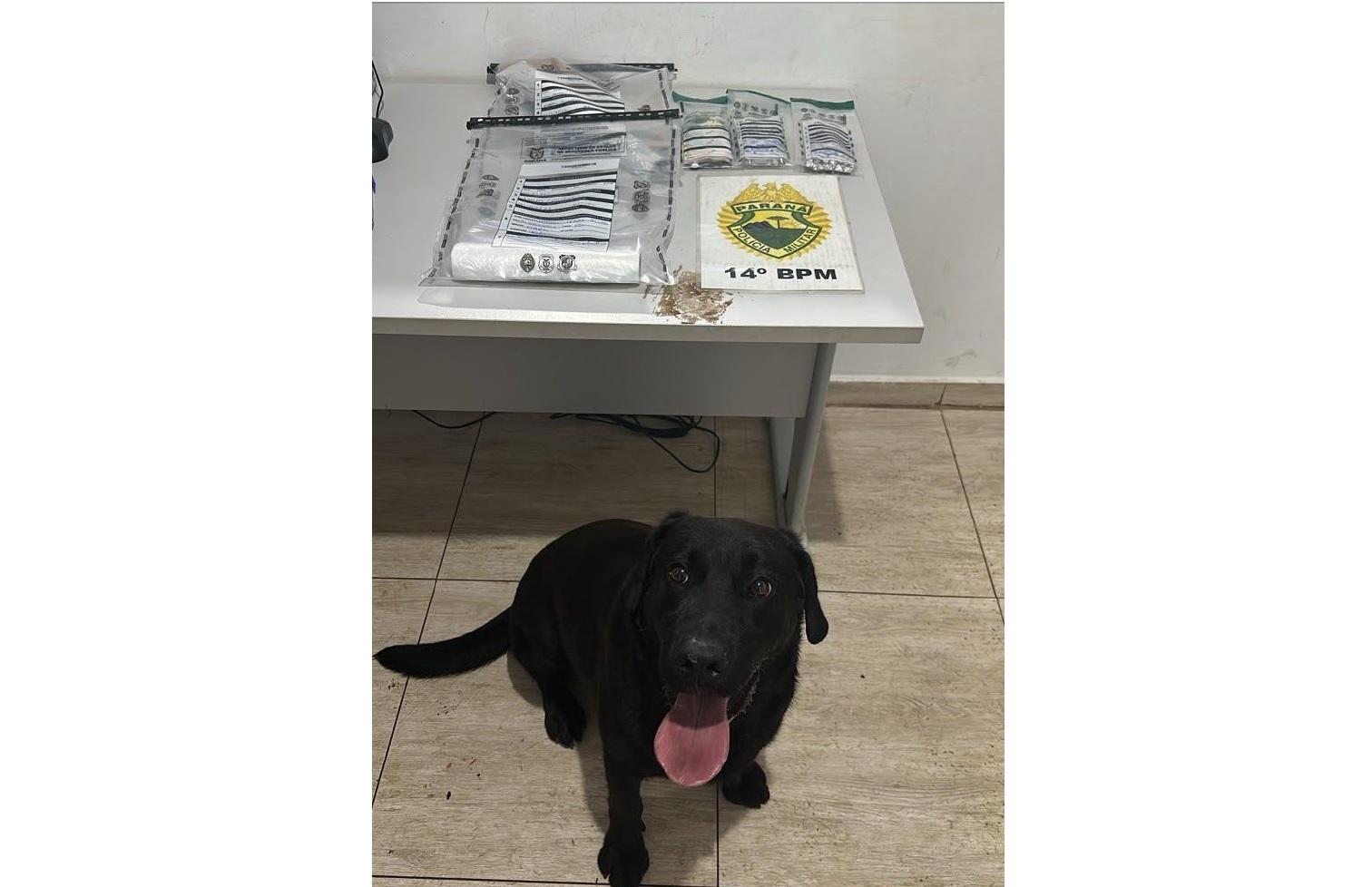 PM apreende drogas e prende suspeito por tráfico em Foz do Iguaçu