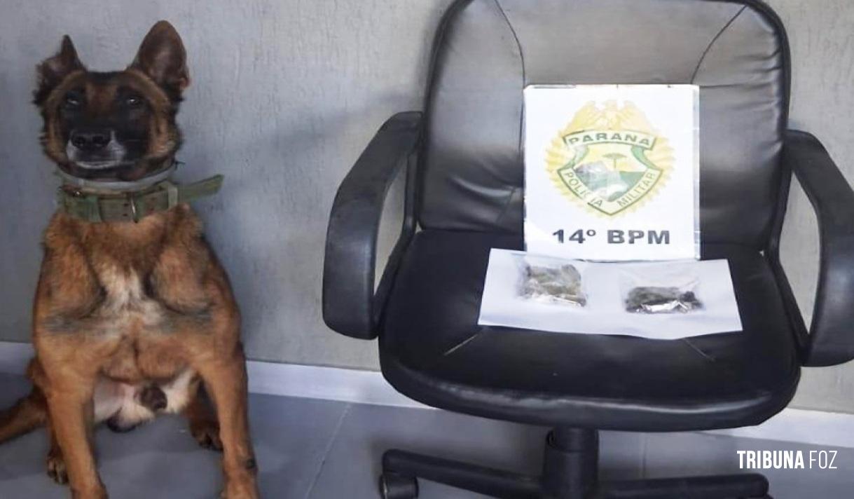 PM prende homem por tráfico de drogas durante Operação All In em Santa Terezinha de Itaipu