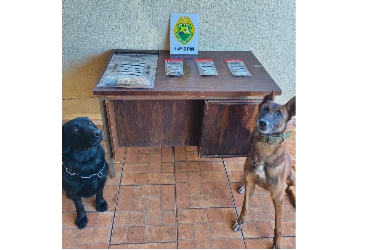 PM prende homem por tráfico de drogas e apreende entorpecentes em Santa Terezinha de Itaipu