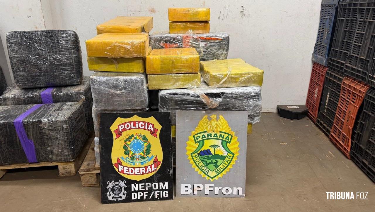 BPFRON e Polícia Federal apreendem 518 quilos de maconha em área de mata em Foz do Iguaçu