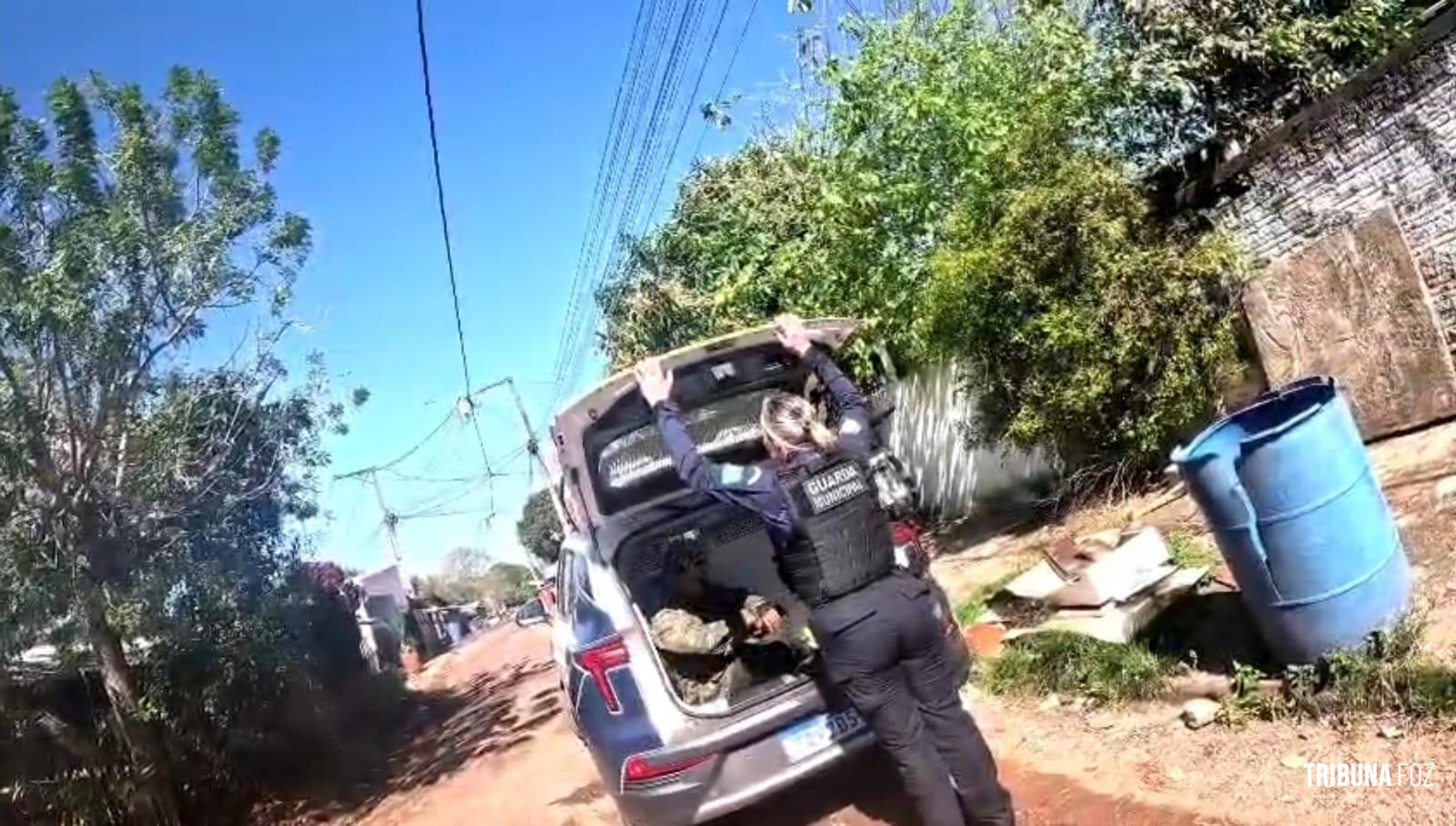 Guarda Municipal cumpre Mandado de Prisão na Favela do Bolo