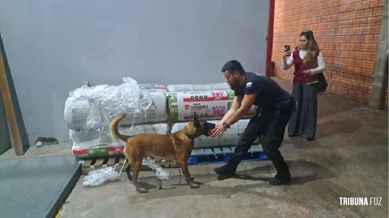 MP não avança na investigação de tráfico de maconha VIP onde brasileiros supostamente comandam o esquema criminoso no Paraguai 