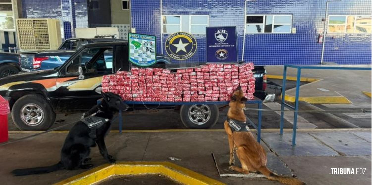 Receita Federal apreende quase 200 Kg de maconha na Ponte da Amizade