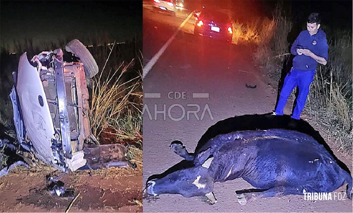 Veículo colide com vaca na Rodovia PY07, deixando ocupantes com ferimentos leves no Paraguai