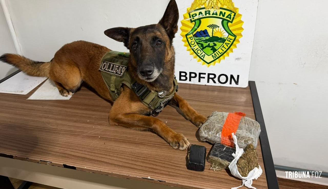 BPFRON apreende maconha e prende dois homens no distrito de Luz Marina em São Pedro do Iguaçu