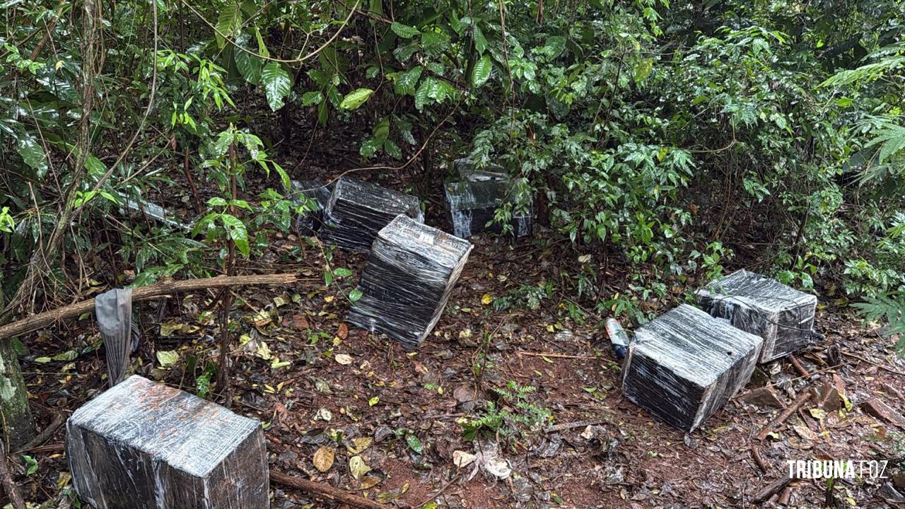PF, PM E Exército apreendem 520,6 Kg de maconha e prendem dois suspeitos em Foz do Iguaçu