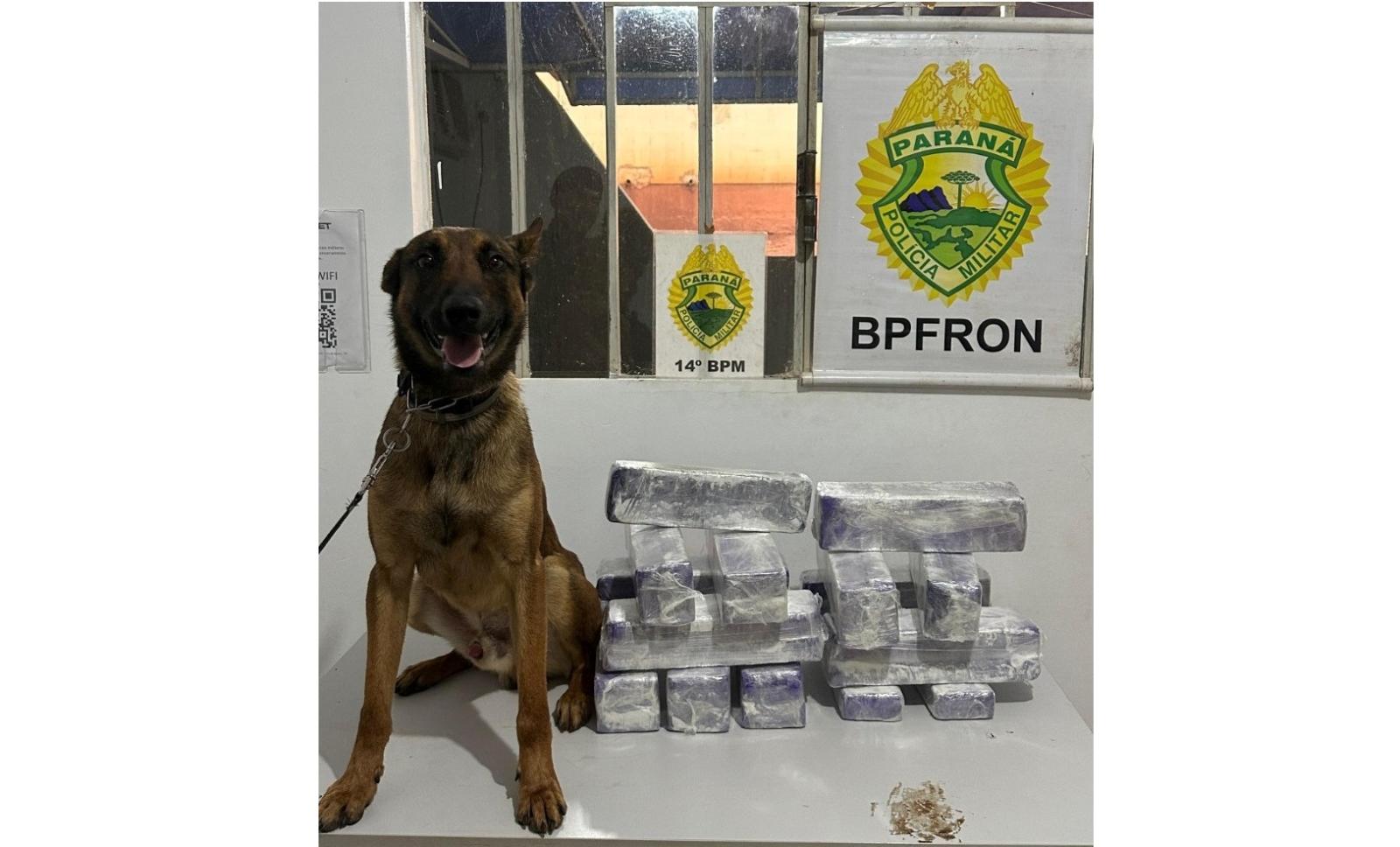 PM apreende 27,4 Kg de maconha em ponto de distribuição de E-commerce em Foz do Iguaçu