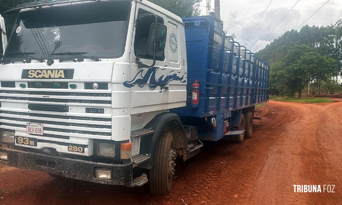 Caminhão e seis equinos são apreendidos devido a inconsistências em guia de transporte no Paraguai